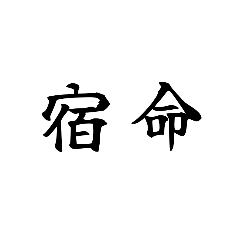 宿命 — Destiny Script 楷 Chinese tattoo